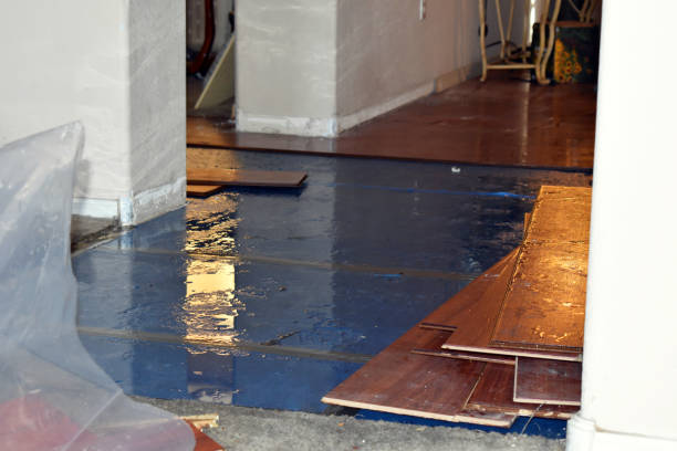 Professional Sewage Cleanup technician working in Acra, NY